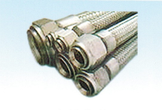 ѹ